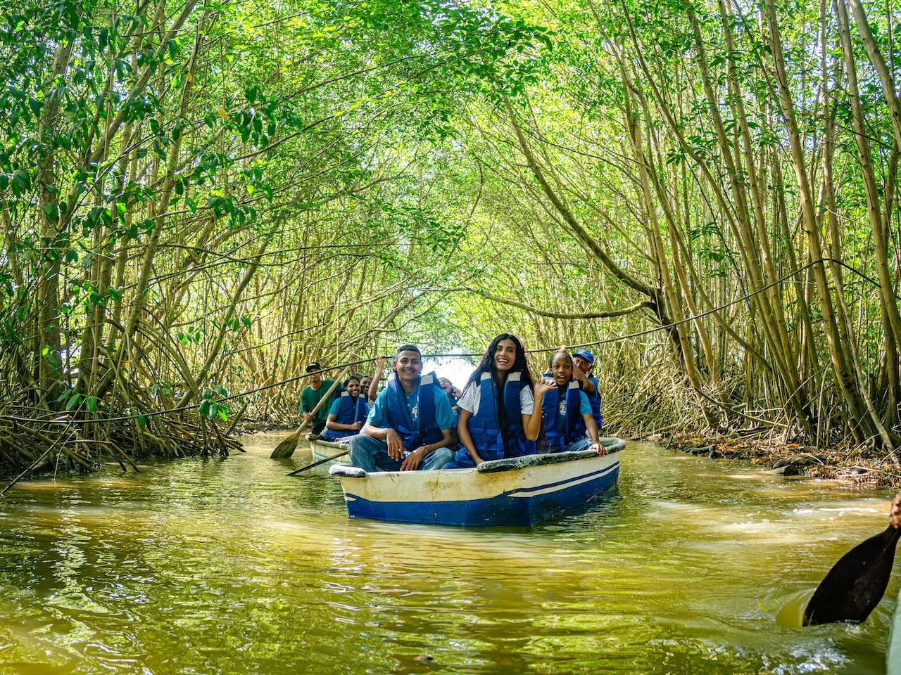 MANGLARES: REFUGIO Y VIDA