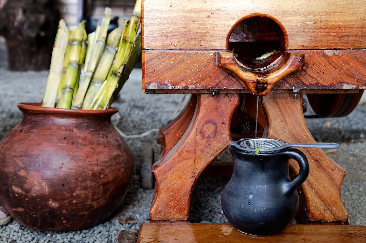 GUARAPO. UN VIAJE ANCESTRAL