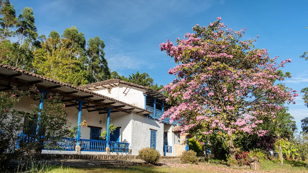 RUTA TURÍSTICA HACIENDA PISOJÉ