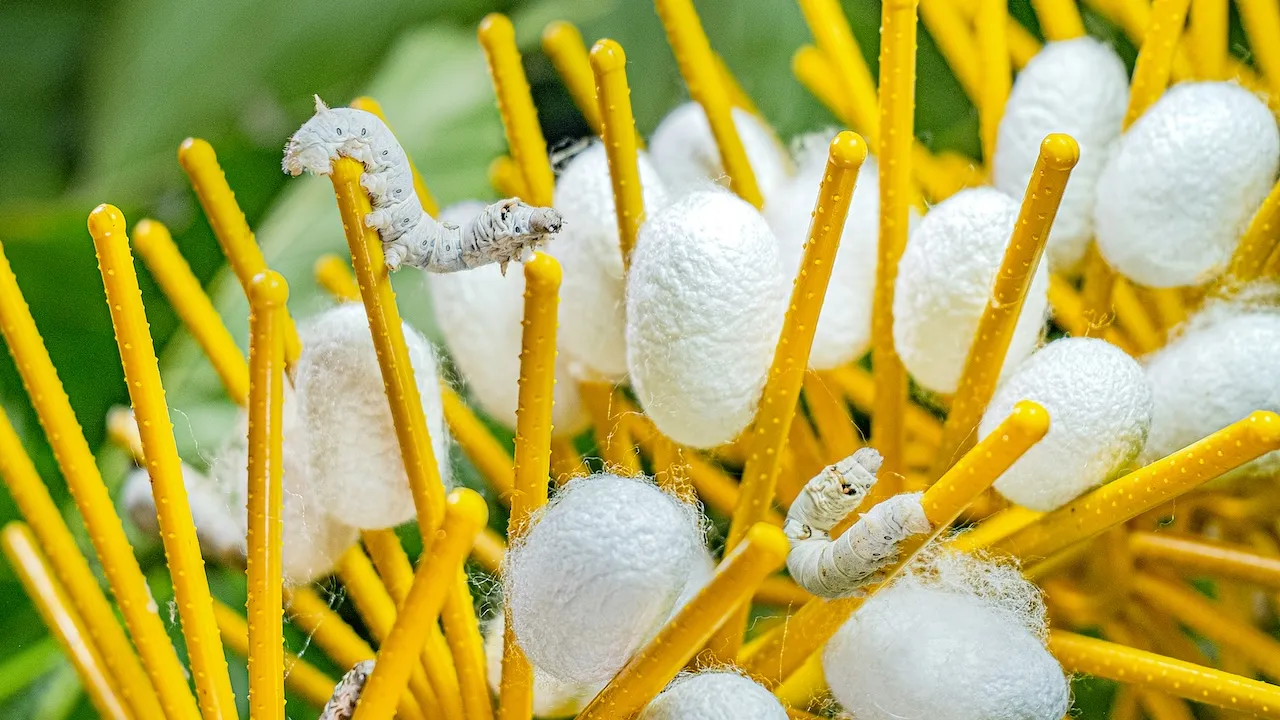 EXP-021 - EXPERIENCIA 21