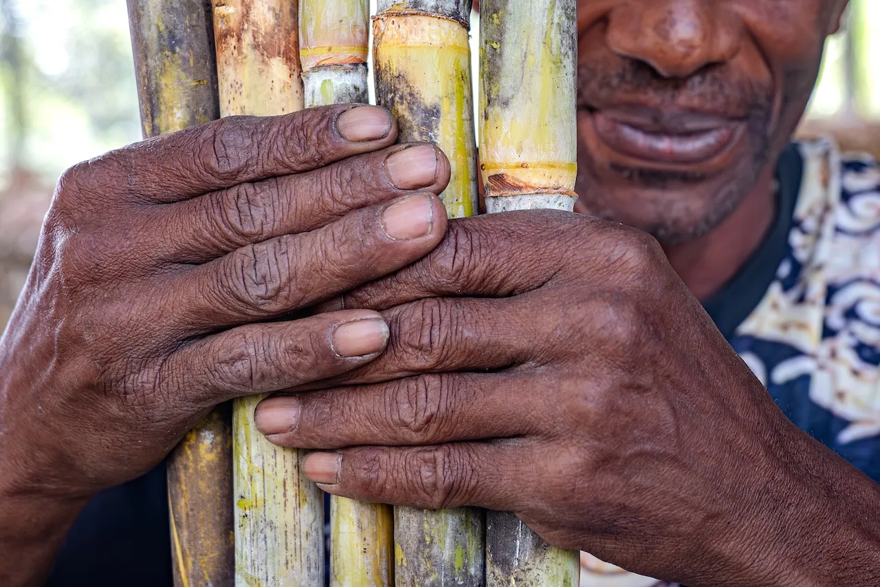 EXP-026 - EXPERIENCIA 26