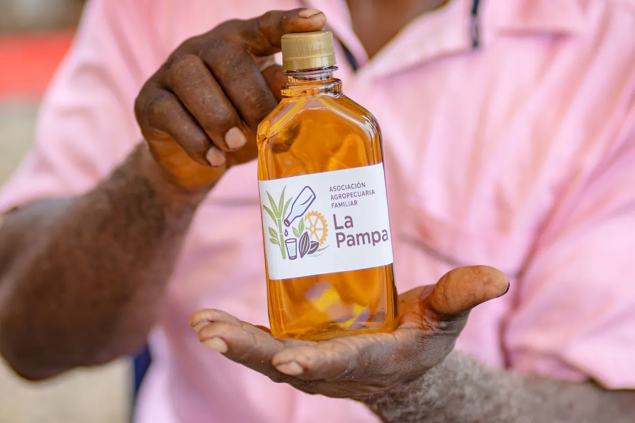 EXP-027 - EXPERIENCIA 27