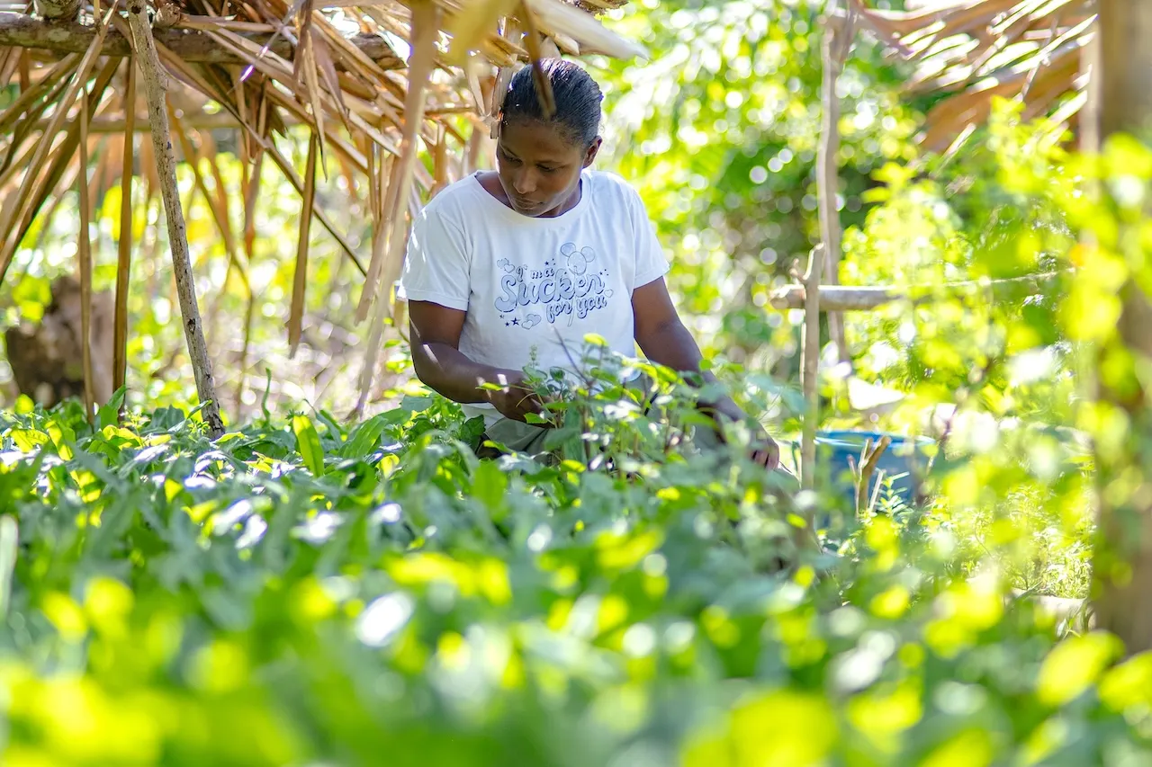 EXP-030 - EXPERIENCIA 30