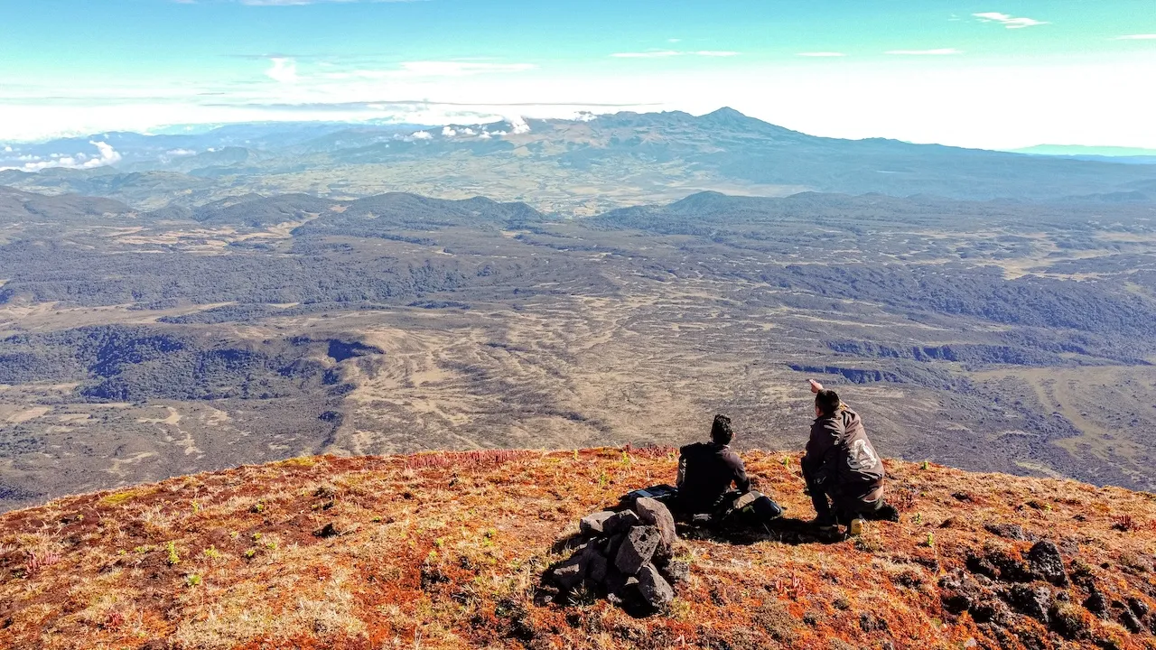 EXP-036 - EXPERIENCIA 36