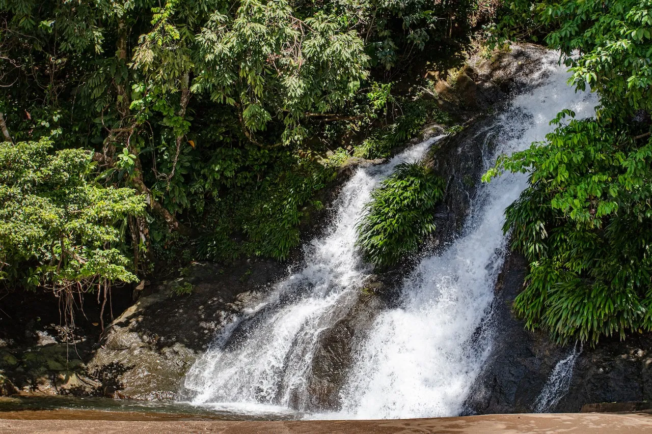 EXP-038 - EXPERIENCIA 38