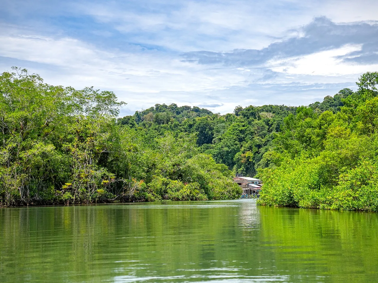 EXP-040 - EXPERIENCIA 40